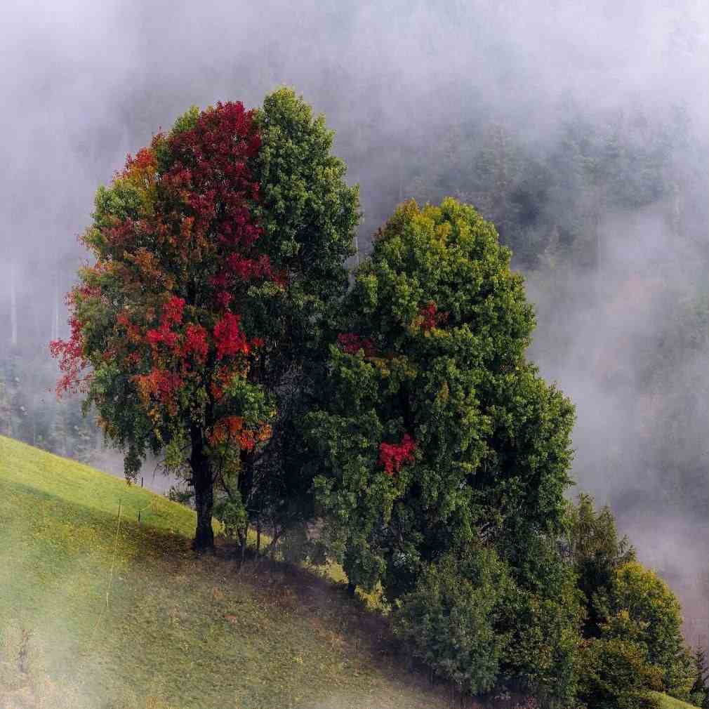 آهنگ جدید KIXIA KREZUS فانک LONELY